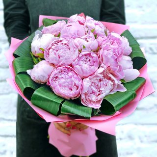 Розовые пионы с Аспидистрой «Пралине»
