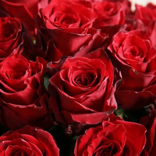 Букет из 51 Роз Эквадор «Пылкое сердце»