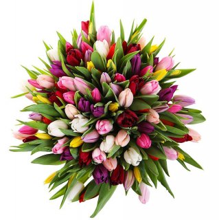 Букет из разноцветных тюльпанов 