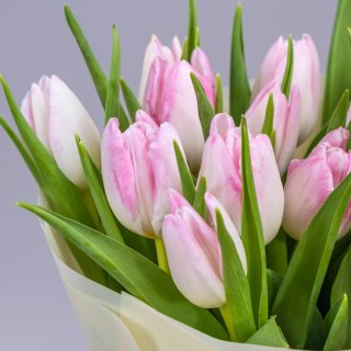 Букет из нежно-розовых тюльпанов 15 шт «Сапфир»