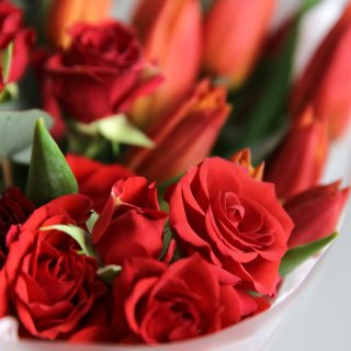 Букет из Тюльпанов и кустовых Роз «Экспрессия»