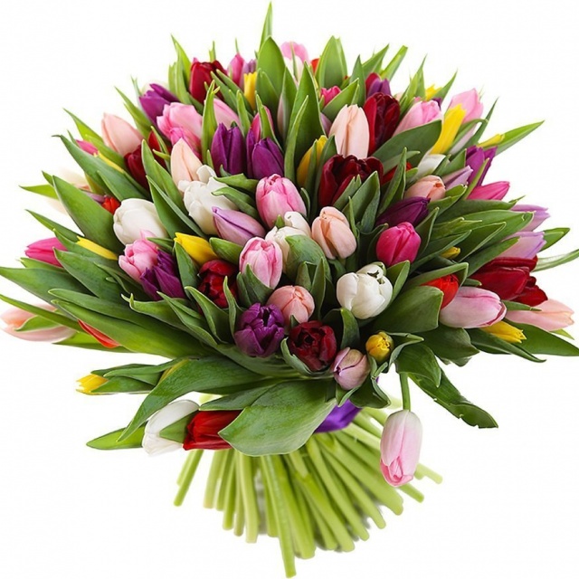 Букет из разноцветных Тюльпанов «Ощущение тюльпанов»