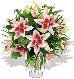 Букет из Лилий «Прекрасные лилии»