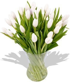 Букет из Тюльпанов «Белые тюльпаны»