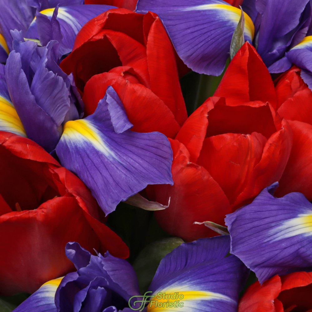 Букет из Тюльпанов и Ирисов «Ради Амура» Букет из Тюльпанов и Ирисов «Ради Амура»