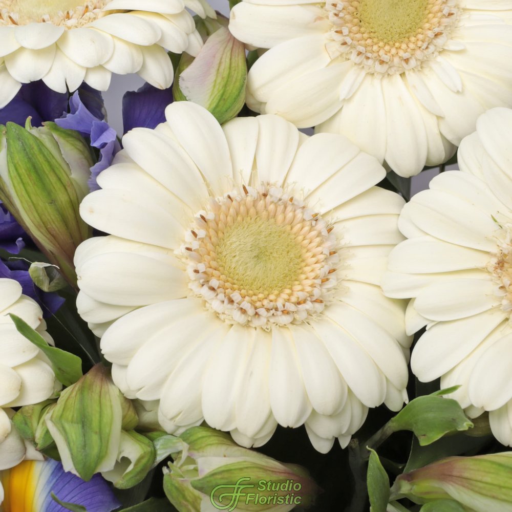 Букет из Ирисов, Альстромерий и Гермини «Храброе сердце» Букет из Ирисов, Альстромерий и Гермини «Храброе сердце»