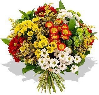 Букет из Хризантем и Солидаго «Много хризантем» Букет из Хризантем и Солидаго «Много хризантем»