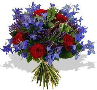 Букет из Роз и Дельфиниума «Африка» Букет из Роз и Дельфиниума «Африка»