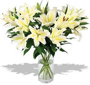 Букет из белых Лилий «Утонченная Элегантность»