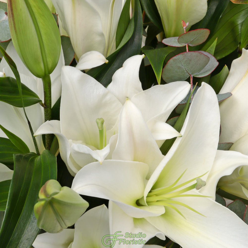 Букет белых Лилий «Белее белого» Букет белых Лилий «Белее белого»