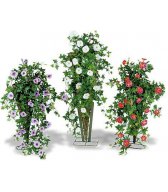 Вьюн (3 расцветки) 90 см Вьюн (3 расцветки) 90 см