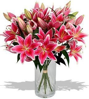 Букет из Лилий «Розовые веснушки»