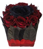 Roses Cube Roses Cube