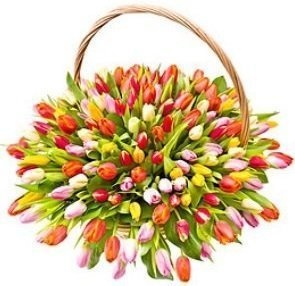 Композиция из Тюльпанов в корзине «Весенняя фантазия»