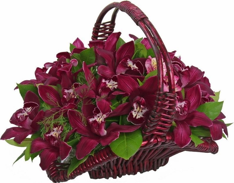 Композиция из Орхидей в корзине «Магия сумерек»