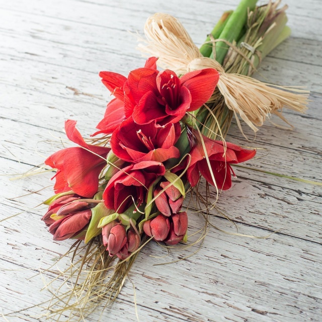 Букет из красного Амариллиса «Рубиновый Рассвет»