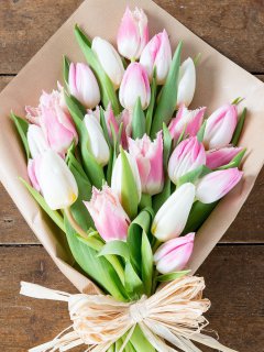 Нежные тюльпаны