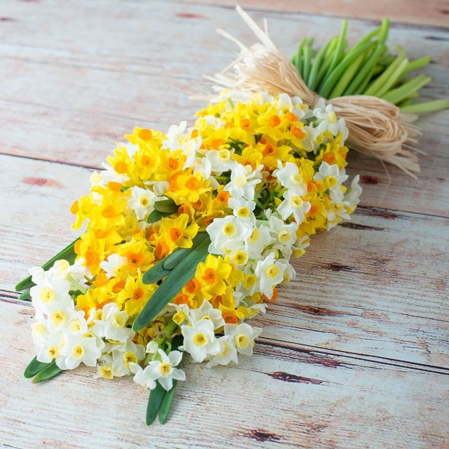 Букет из кустового Нарцисса «Нежный Нарцисс»
