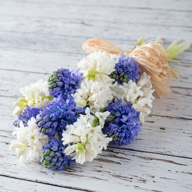 Букет из Гиацинтов «Синий и белый гиацинт»