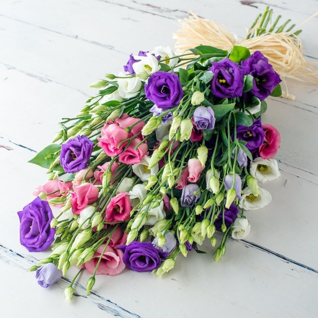 Букет из Лизиантуса «Элегантный Лизиантус» Букет из Лизиантуса «Элегантный Лизиантус»