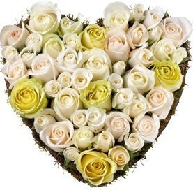 Композиция из Роз и Аспидистры «Нежные чувства»