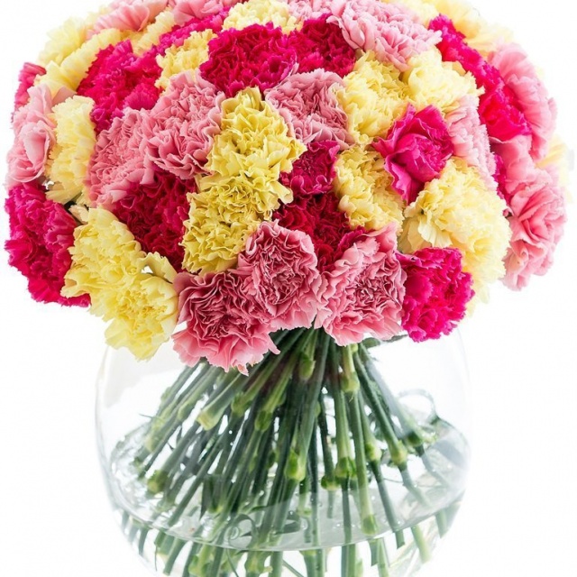 Букет из Гвоздик «Великолепные гвоздики»