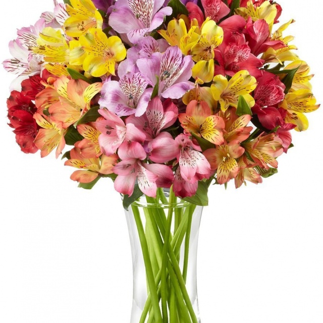 Букет Альстромерий «Микс из Альстромерий»