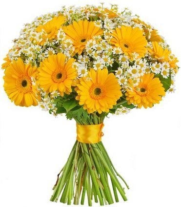 Букет из Ромашек и Гермини «Солнечный момент»