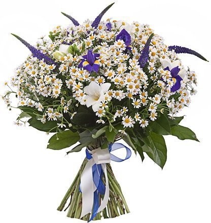 Букет из Ромашек, Фрезий и Ирисов «Волшебная поляна»