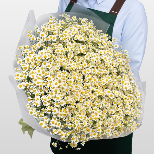 Букет Ромашек «Поле ромашек»