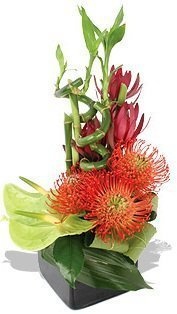 Композиция из Антуриума, Бамбука и Леукадендрона «Твист и крик»