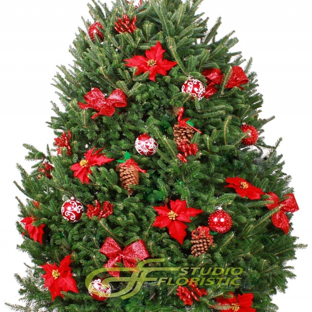 Новогодняя Пихта с Шарами, Пуансетией и Шишками «Фразера №1»