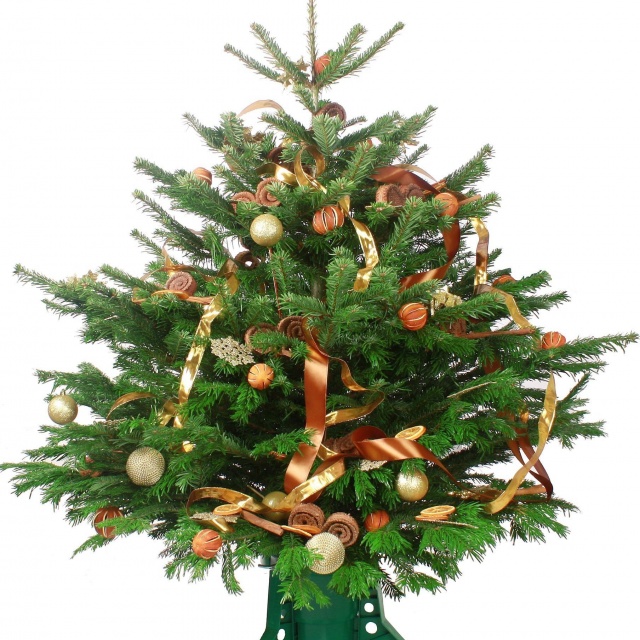 Новогодняя Пихта с Игрушками, Снежинками и Мандаринами «Нордмана №2»