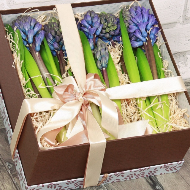 Композиция из Гиацинтов в коробке «Игра в непредсказуемость»