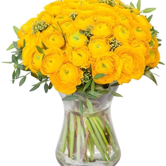 Букет из Ранункулюсов «Солнечный ранункулюс» – можно выбрать цвет