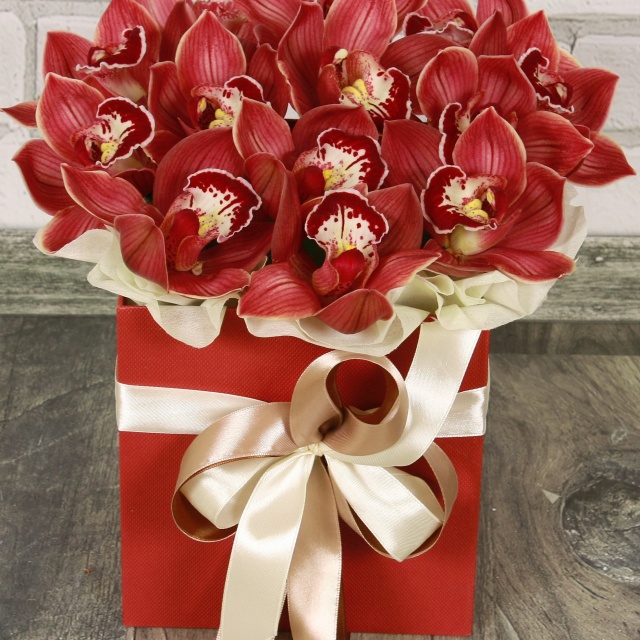 Композиция из Орхидей в коробке «В плену любви» Композиция из Орхидей в коробке «В плену любви»