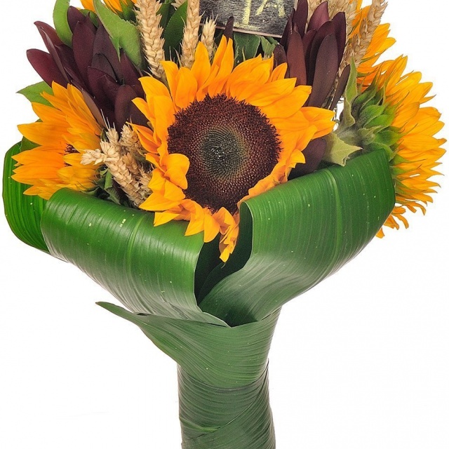 Букет из Подсолнухов и Леукадендрона «Школьная пора»