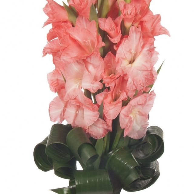 Букет из Гладиолусов «Школьный звонок»