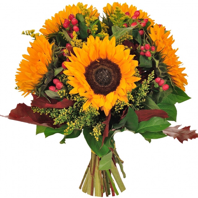 Букет из Подсолнухов, Солидаго и Гиперикума «Школьные годы чудесные» Букет из Подсолнухов, Солидаго и Гиперикума «Школьные годы чудесные»