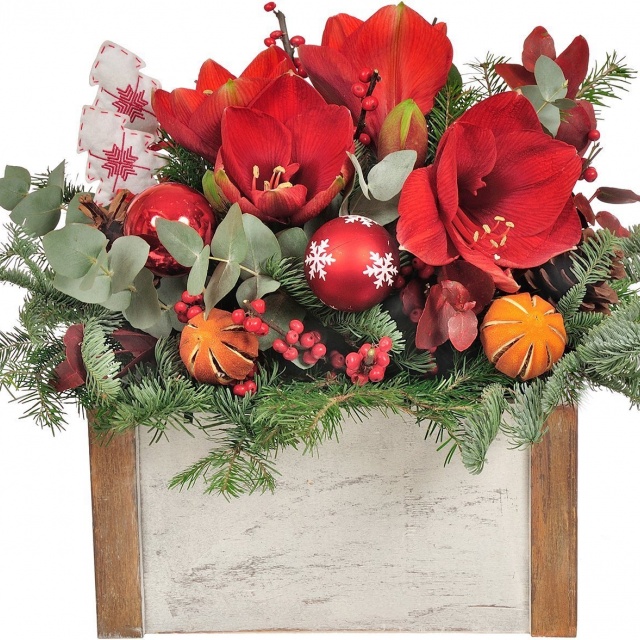 Новогодняя композиция с Амариллисами в ящике «Праздничный амариллис»