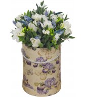 Коробка с Тюльпанами, Мускари, Фрезий 