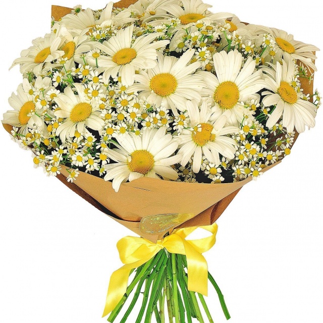 Букет из Ромашек «Романтическая юность»