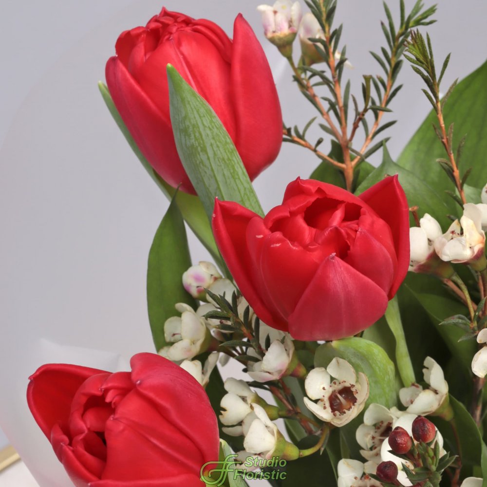 Букет из Тюльпанов и Хамелациума «Метрополь» Букет из Тюльпанов и Хамелациума «Метрополь»