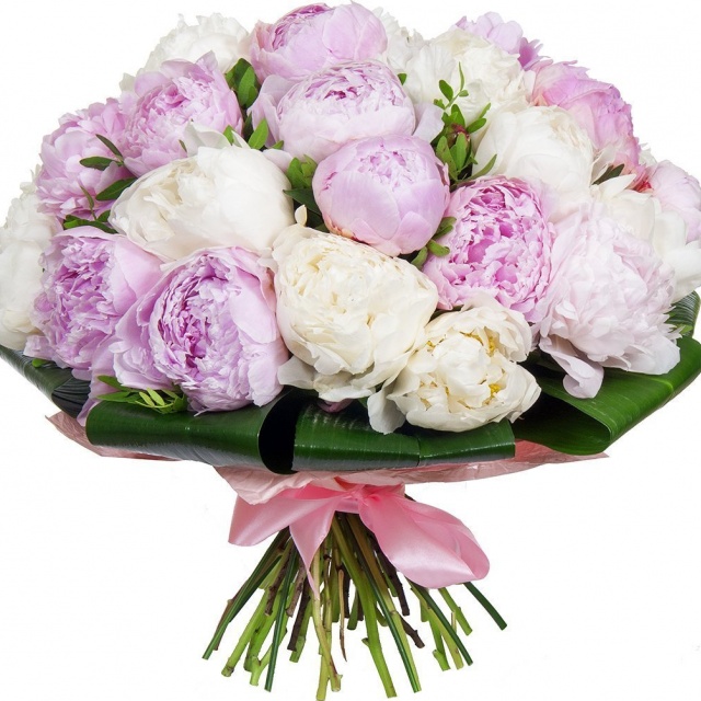 Букет из Пионов «Пионовая радость»