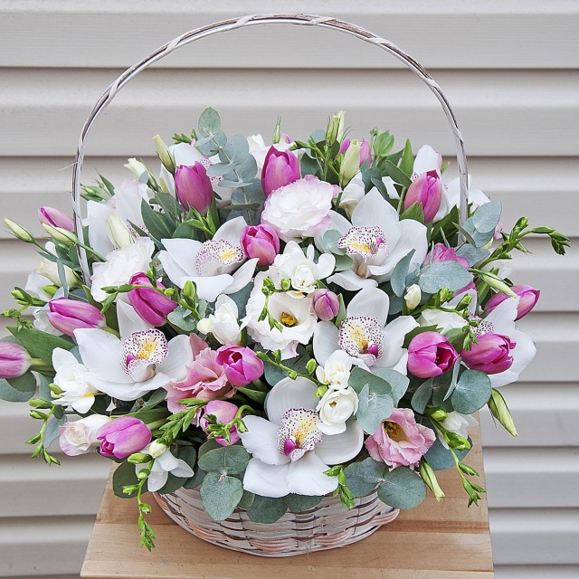 Композиция из Орхидей, Фрезий и Тюльпанов в корзине «Милое создание» Композиция из Орхидей, Фрезий и Тюльпанов в корзине «Милое создание»