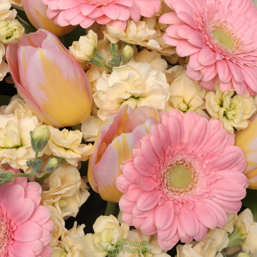 Букет из Тюльпанов, Гермини и Маттиолы «Мильфей» Букет из Тюльпанов, Гермини и Маттиолы «Мильфей»