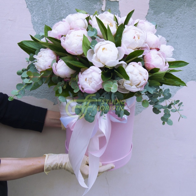 Композиция из Пионов в шляпной коробке «Пломбир»