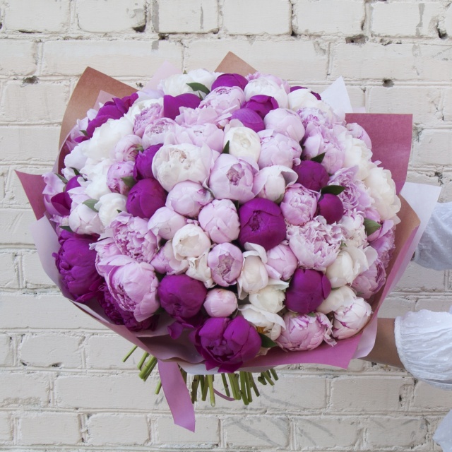 Букет Пионов «Пышнее облаков»