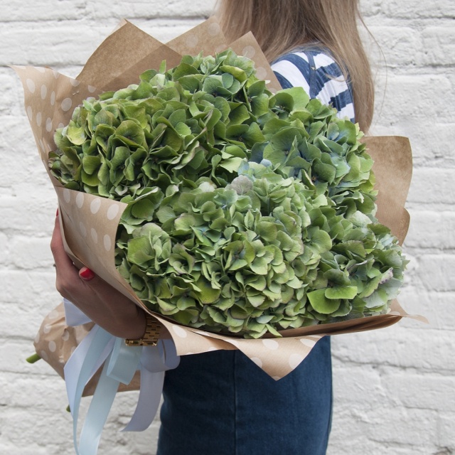 Букет из Гортензий «Космос»