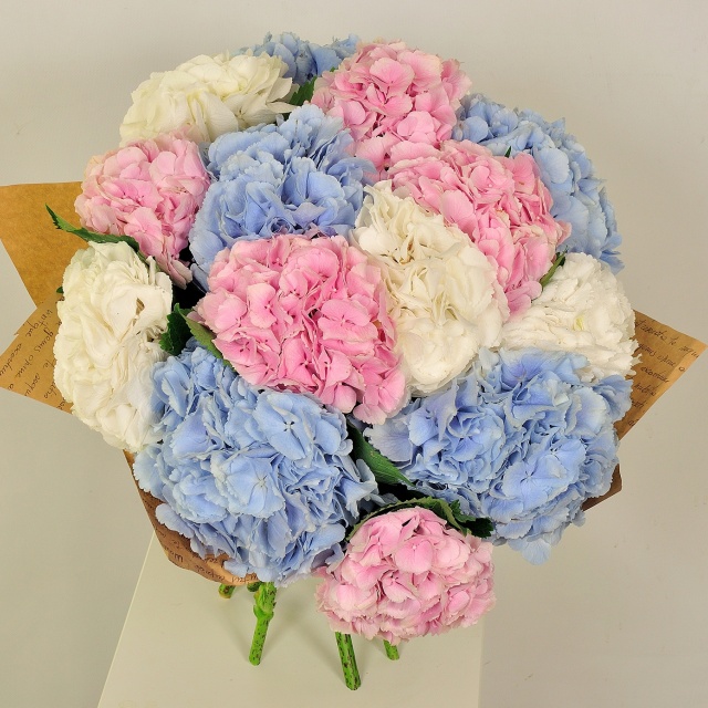 Букет из Гортензий «Летняя радость»